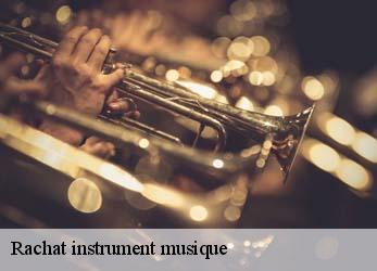 Rachat instrument musique 75 Paris  Mayer Antiquaire