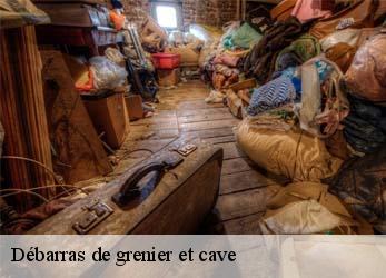 Débarras de grenier et cave  paris-13-75013 Mayer Antiquaire