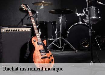 Rachat instrument musique  paris-5-75005 Mayer Antiquaire