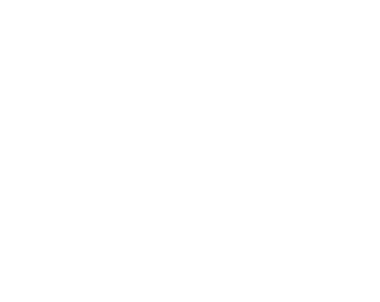 Mayer Antiquaire Paris